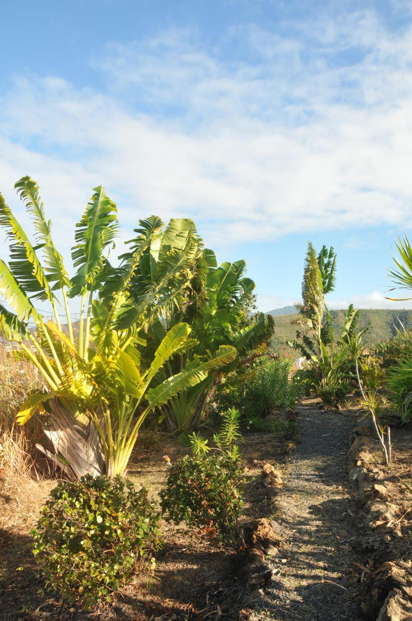 Saint Joseph Mango Island Lodges מראה חיצוני תמונה
