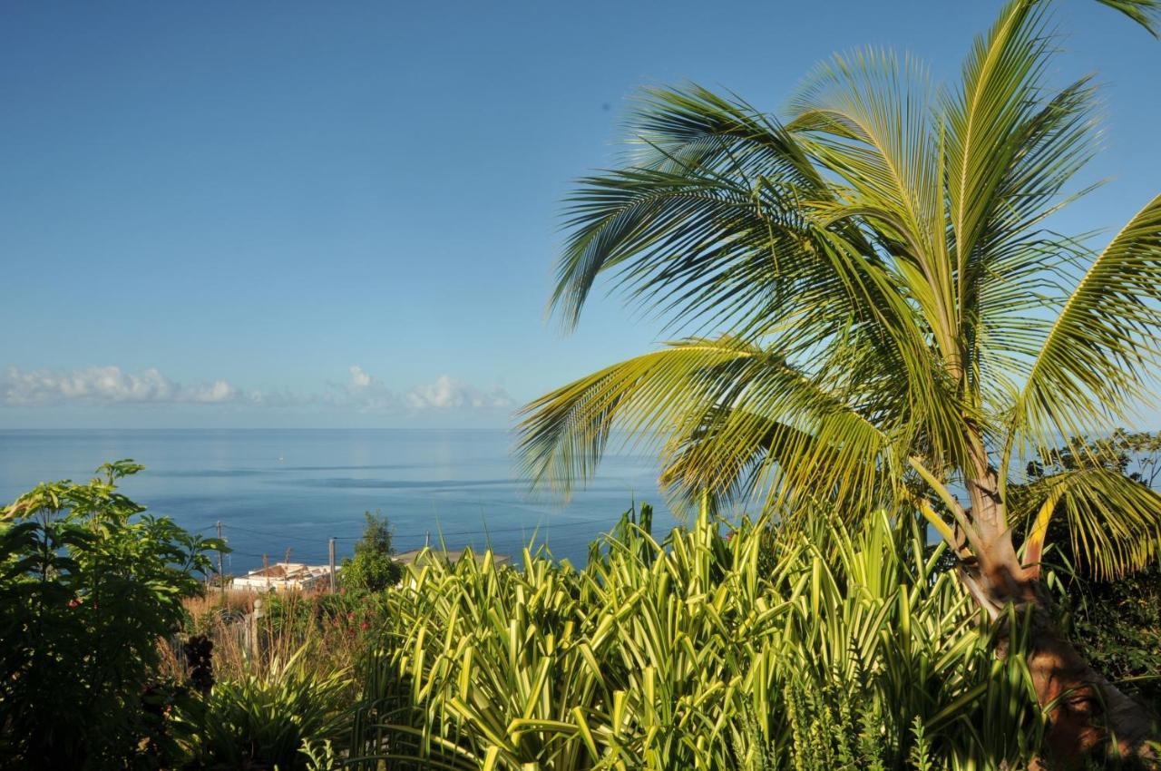 Saint Joseph Mango Island Lodges מראה חיצוני תמונה