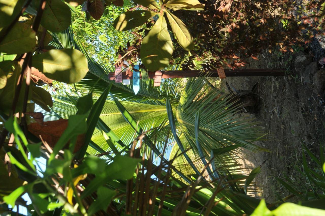 Saint Joseph Mango Island Lodges מראה חיצוני תמונה