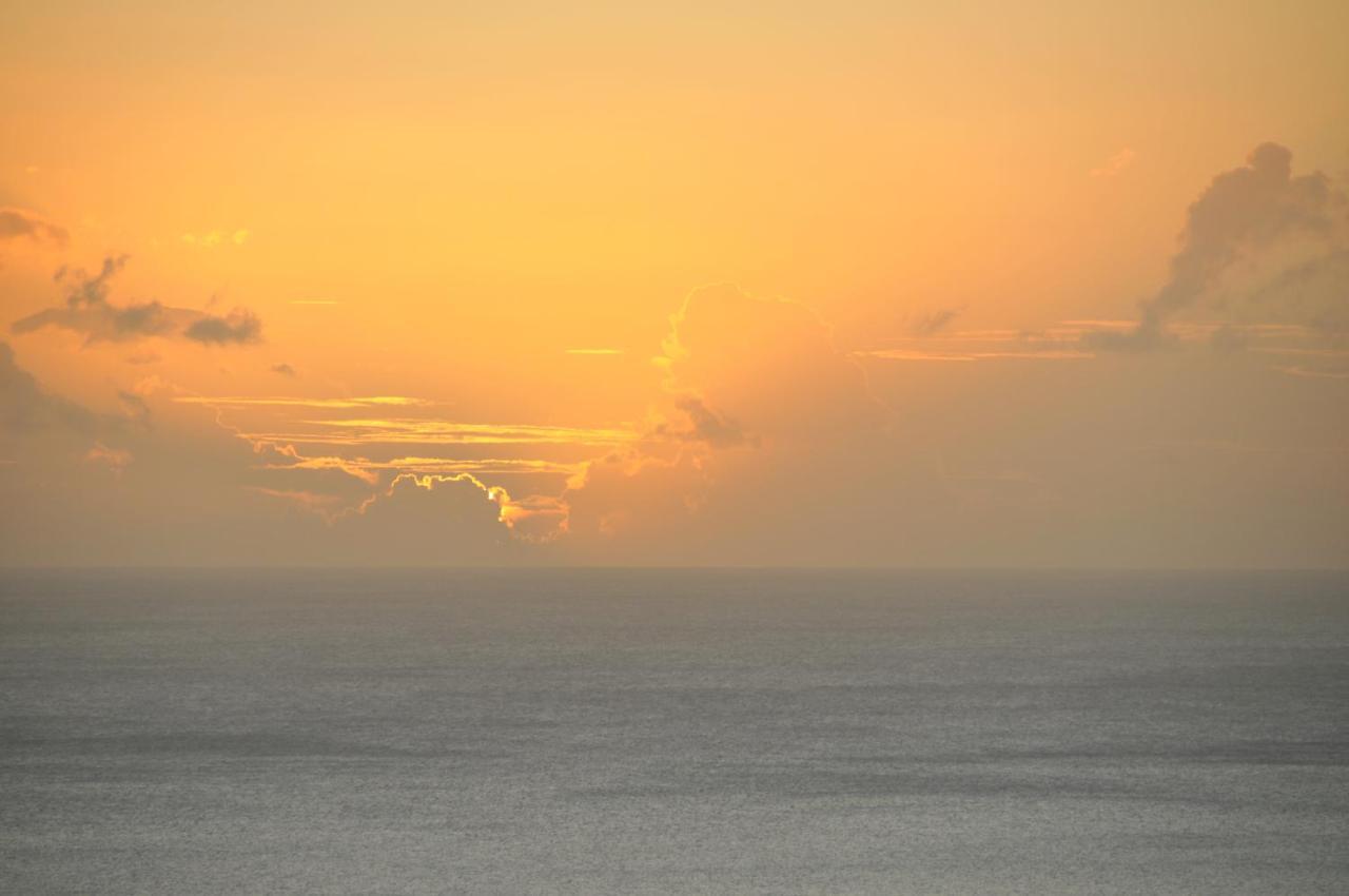 Saint Joseph Mango Island Lodges מראה חיצוני תמונה